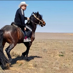 Марат Нурпейсов, 01.12