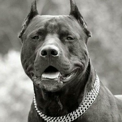 Павел Кудрявцев, 03.10, Новосибирск