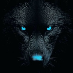 Денис Волков, 19.01, Туймазы