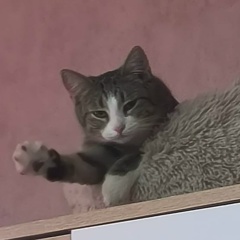 Сергей Пивкин, Санкт-Петербург