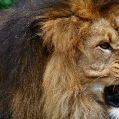 Руслан Абдуразаков, Санкт-Петербург