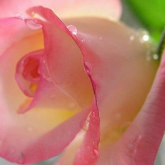 Ауез Нуралиева, 05.12.1991, Жаркент