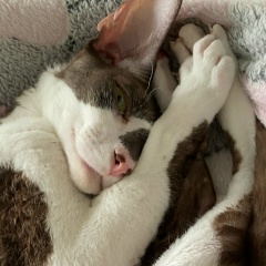 Илья Рабочев, 28.06.1989, Москва