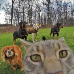 Михаил Сигачев, 09.08.1984, Miami