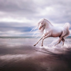 Albina Kurmasheva, 14.08, Астана