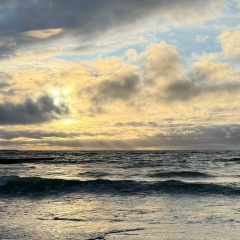 Татьяна Юрченко, Москва