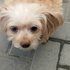 Сергей Омельченко, 04.12, Санкт-Петербург