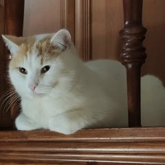 Ilya Butov, 11.01, Санкт-Петербург