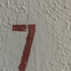 Дмитрий Шестаков, Санкт-Петербург