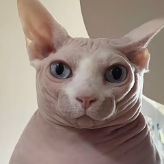 Анастасия Минх, 10.09