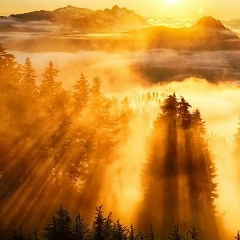 Ярослав Косицын, 20.07, Москва