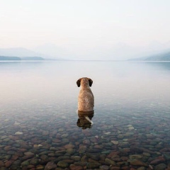 Илона Зеленая, 04.05, Одесса