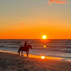 Леонид Ж, 13.12, Калининград