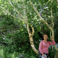 Светлана Калюжная