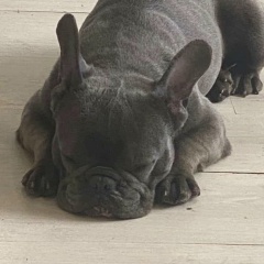 Наталия Рыбакова, Санкт-Петербург