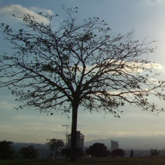 Juriy Vorotynov, 11.03.1985