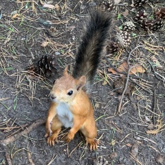 Татьяна Сиренко, 06.10, Сургут