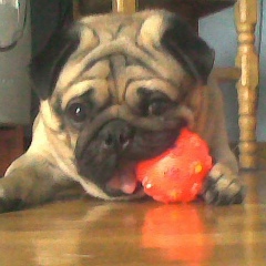 Саня Мирошниченко, 04.03.1985, Ростов-на-Дону