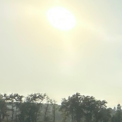 Галя Косм, Нальчик