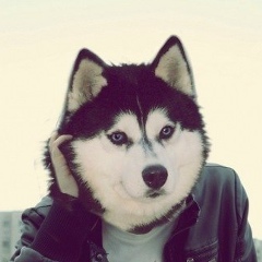 Howl Devil, 31.10, Alaska