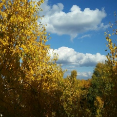 Людмила Ерошкина, 18.07.1980, Санкт-Петербург
