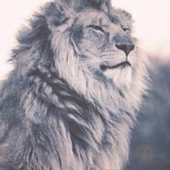 Олеся Валиева, 23.08, Екатеринбург