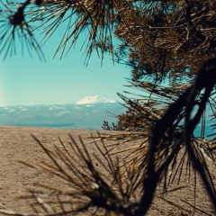 Лена Ленина