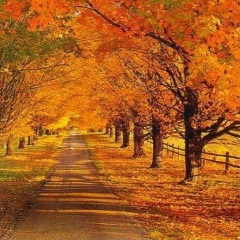 Aisulu Assanseitova, 14.10.1991