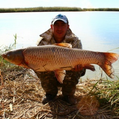 Artem Abyev, 10.12, Санкт-Петербург