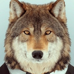 Ирина Посохина, 19.02.1996, Нижний Новгород