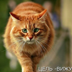 Светлана Бутковская, 27.07, Санкт-Петербург