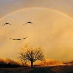 Аркадий Кабанов, 26.02, Южноукраинск