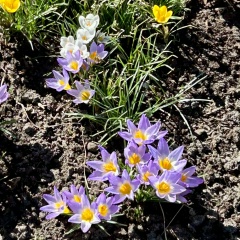 Римма Богдашкина, 23.01, Санкт-Петербург