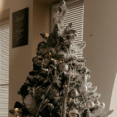 Мадина Туаева, 20.03, Владикавказ