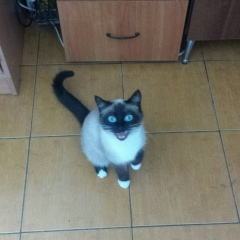 Антон Московченко, 27.12.1968, Санкт-Петербург