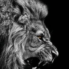 Ерас Айтов, 24.10.1990, Астана