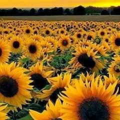 Юлия Проскурина, 26.02.1991, Ярославль