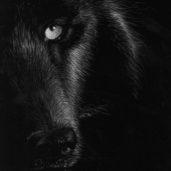 Эльдар Болотоков, 07.12.1901, Нальчик