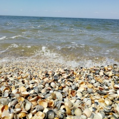 Наталья Тарлина, 03.07, Ханты-Мансийск