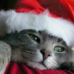 Мария Varfolomeyeva, 25.07