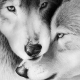 Alexandra Pleskacheva, 10.05