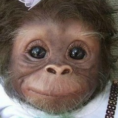 Саша Валюшкин, Волгоград