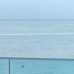 Дмитрий Дерягин, 10.12.1987, Санкт-Петербург