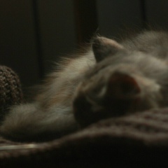 Аделя Зайкина, 02.08