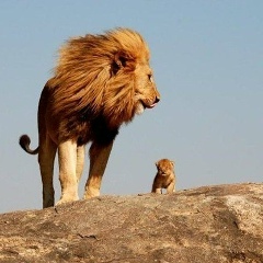 Сабит Ауесбеков, 01.01.1984, Москва