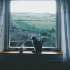 Асият Муслимова, 23.08, Махачкала