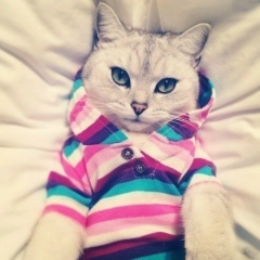 Эля Каримова, 20.08.1984, Алматы