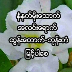 Maung Moe, 10.02.2000