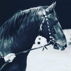 Zhanadil Erezhep, 07.11, Астана