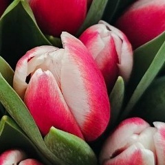 Дарья Пиленко, 23.09.1989, Санкт-Петербург